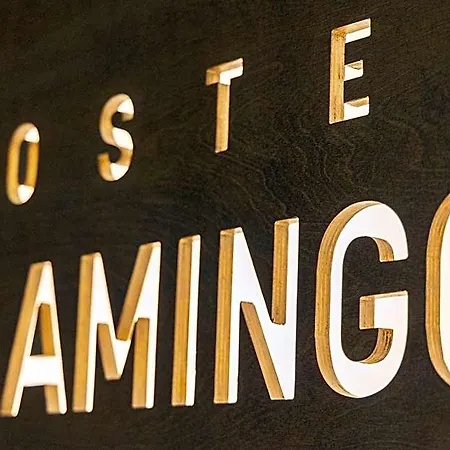 بيت شباب Flamingo Centrum *