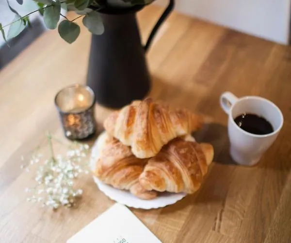 Flamingo Centrum Auberge de jeunesse